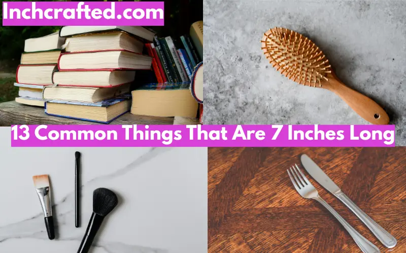 13 Common Things That Are 7 Inches Long