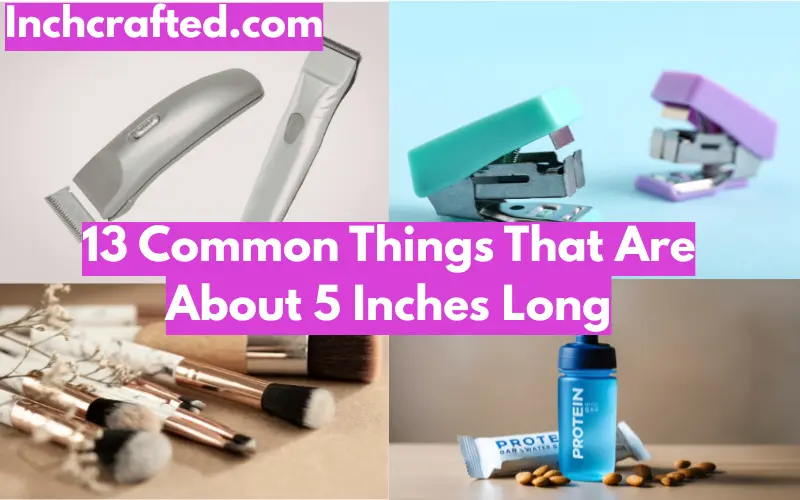 13 Common Things That Are About 5 Inches Long