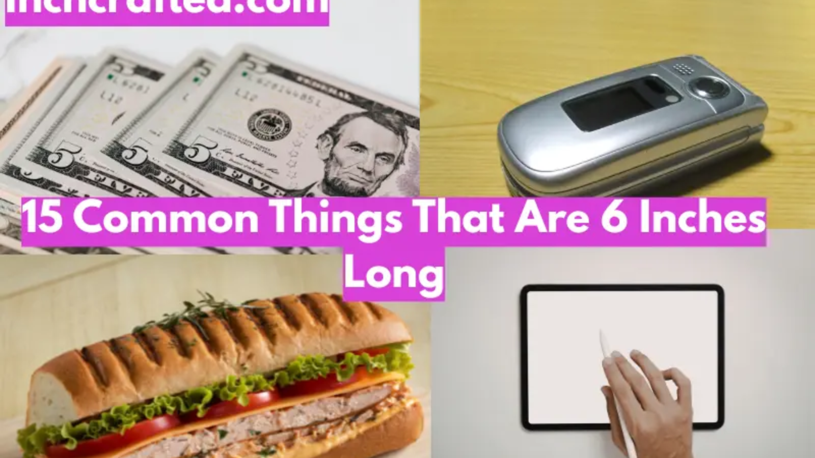 15 Common Things That Are 6 Inches Long
