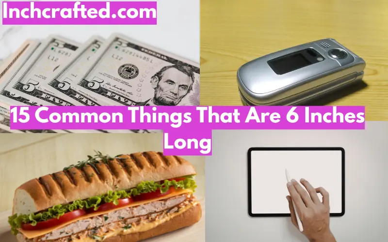15 Common Things That Are 6 Inches Long