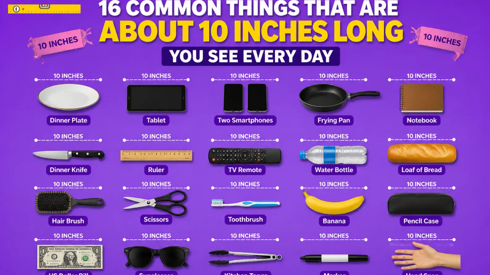 16 Common Things That Are About 10 Inches Long You See Every Day