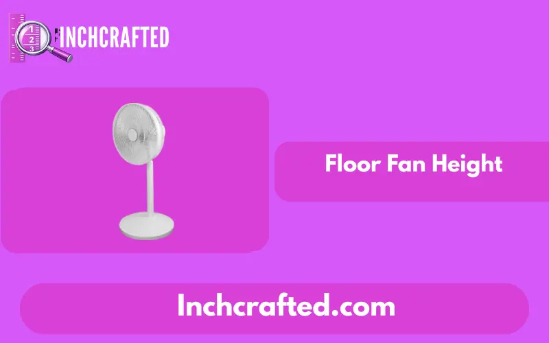 How Long is 16 Inches