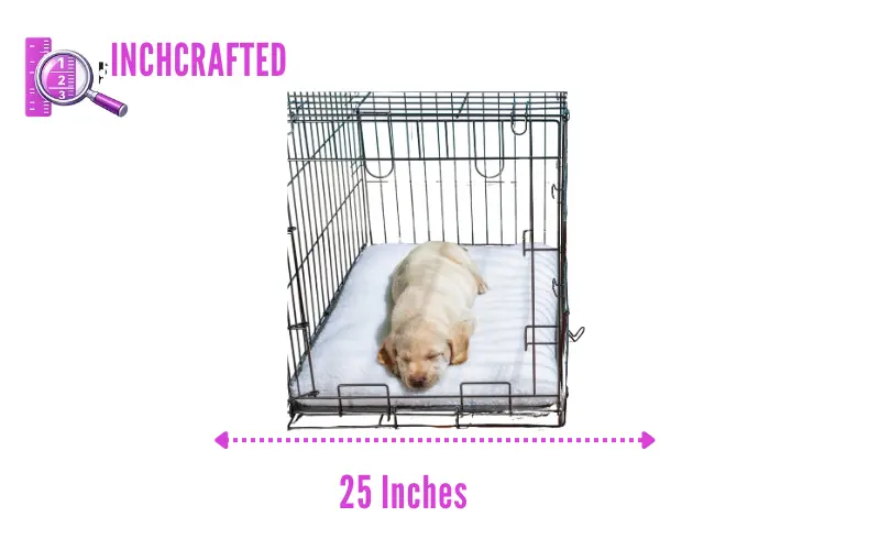 how long is 25 inches