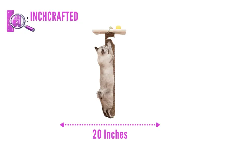 how long is 20 inches