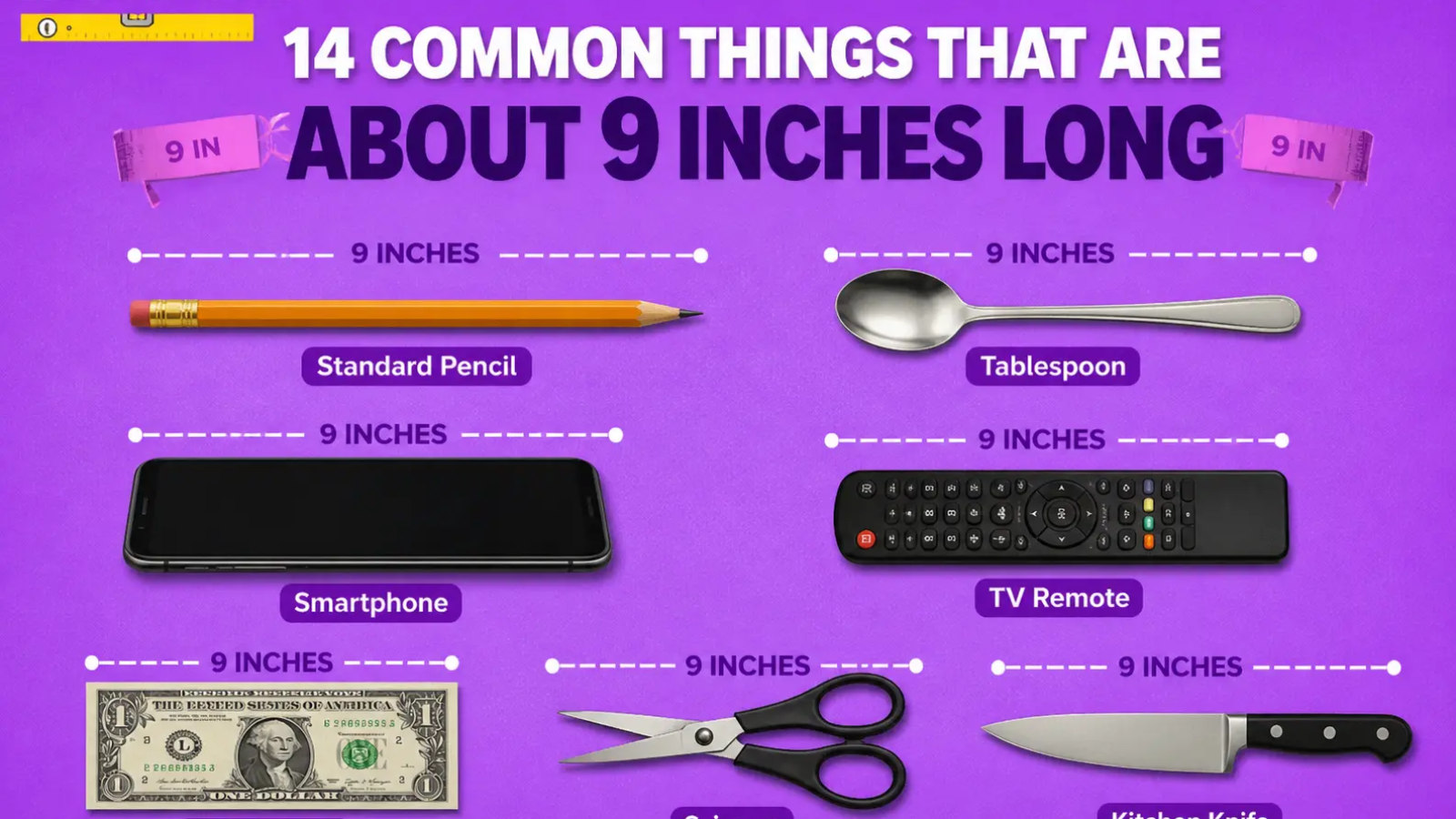 14 Common Things That Are About 9 Inches Long You See Every Day