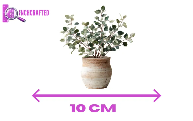 How Big Is 10 cm