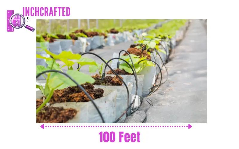 How long is 100 feet