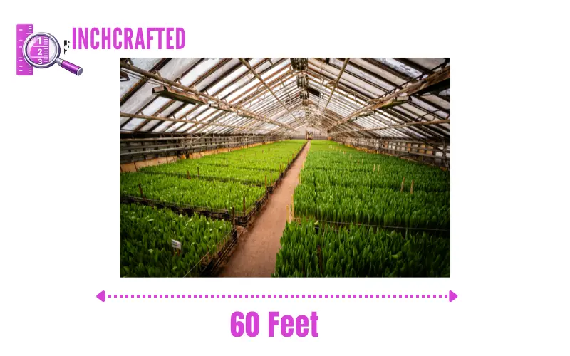 How long is 60 feet