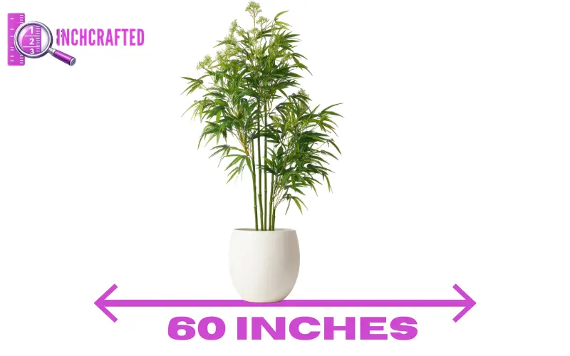 How tall is 60 inches