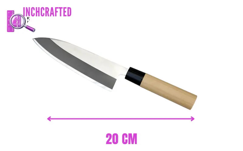 how big is 20 cm